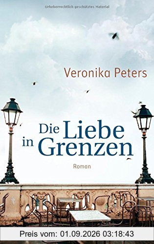 Die Liebe in Grenzen: Roman