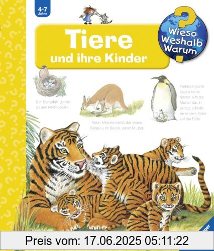 Brand : Ravensburger, Binding : Spiralbindung, Edition : 12, Label : Ravensburger Buchverlag, Publisher : Ravensburger Buchverlag, NumberOfItems : 1, PackageQuantity : 1, Feature : 244mm x 17mm x 278mm, medium : Sonstige Einbände, numberOfPages : 16, publicationDate : 2005-06-01, authors : Doris Rübel, languages : german, ISBN : 3473327433