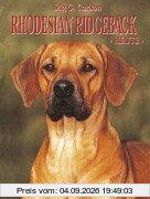 Rhodesian Ridgeback heute