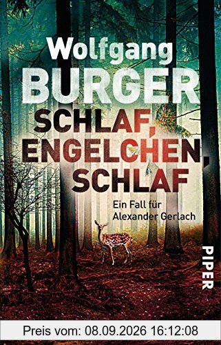 Schlaf, Engelchen, schlaf: Ein Fall für Alexander Gerlach (Alexander-Gerlach-Reihe, Band 13)