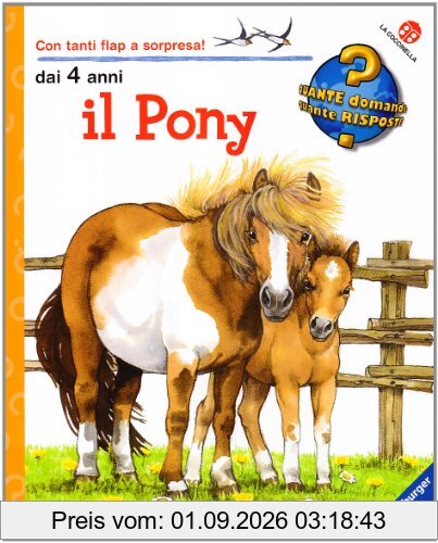 Il pony