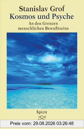 Kosmos und Psyche: An den Grenzen menschlichen Bewußtseins