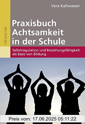 Binding : Taschenbuch, Edition : 1, Label : Beltz, Publisher : Beltz, medium : Taschenbuch, numberOfPages : 251, publicationDate : 2016-09-12, authors : Vera Kaltwasser, languages : german, ISBN : 340762977X