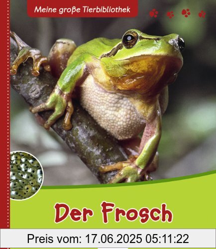 Binding : Gebundene Ausgabe, Edition : 1., Aufl., Label : Esslinger Verlag Schreiber, Publisher : Esslinger Verlag Schreiber, medium : Gebundene Ausgabe, numberOfPages : 29, publicationDate : 2010-01-22, authors : Paul Starosta, translators : Anne Brauner, languages : german, ISBN : 348022637X