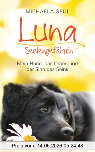 Seul, Shirley Michaela Luna, Seelengefährtin, Mein Hund, Das Leben Und Der Sinn Des Seins