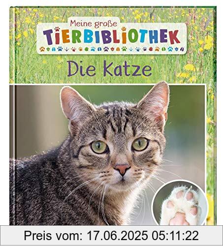 Binding : Gebundene Ausgabe, Edition : 1., Label : Esslinger Verlag, Publisher : Esslinger Verlag, medium : Gebundene Ausgabe, numberOfPages : 32, publicationDate : 2020-09-17, releaseDate : 2020-09-17, authors : Stéphanie Ledu-Frattini, ISBN : 3480236596