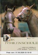 Die Fohlenschule