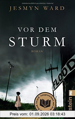 Vor dem Sturm: Roman
