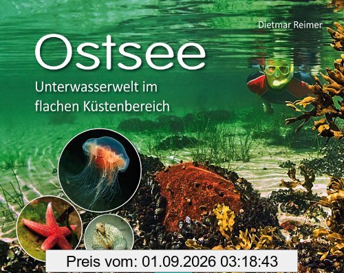 Ostsee: Unterwasserwelt im flachen Küstenbereich Kattegatt - Kleiner Belt - Westliche Ostsee