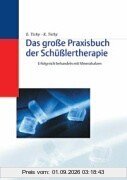 Das grosse Praxisbuch der Schüsslertherapie. Erfolgreich behandeln mit Mineralsalzen