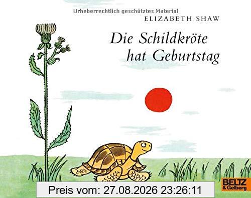 Die Schildkröte hat Geburtstag: Vierfarbiges Bilderbuch