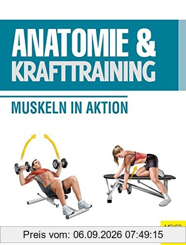 Anatomie und Krafttraining: Muskeln in Aktion