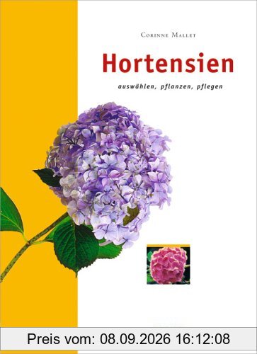 Hortensien: Auswählen, pflanzen und pflegen