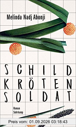 Schildkrötensoldat: Roman
