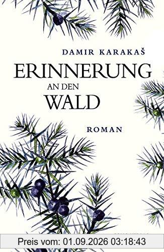 Erinnerung an den Wald (Transfer Bibliothek)