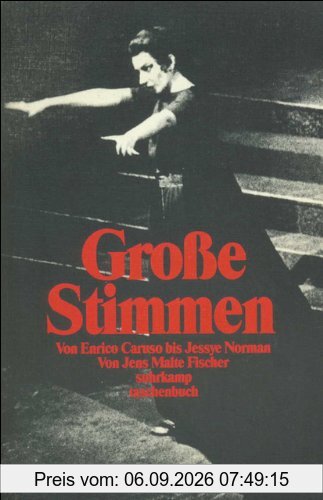 Große Stimmen: Von Enrico Caruso bis Jessye Norman (suhrkamp taschenbuch)