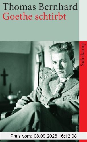 Goethe schtirbt: Erzählungen (suhrkamp taschenbuch)