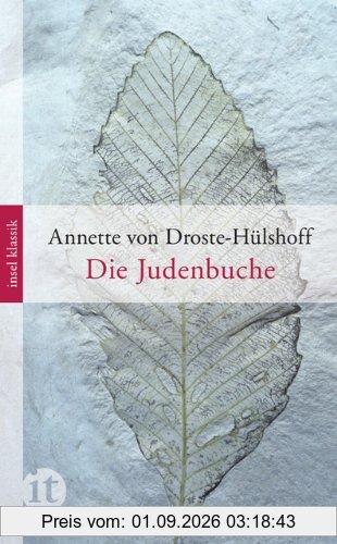 Die Judenbuche: Ein Sittengemälde aus dem gebirgichten Westfalen (insel taschenbuch)