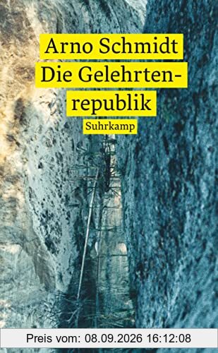 Die Gelehrtenrepublik: Roman (suhrkamp taschenbuch)
