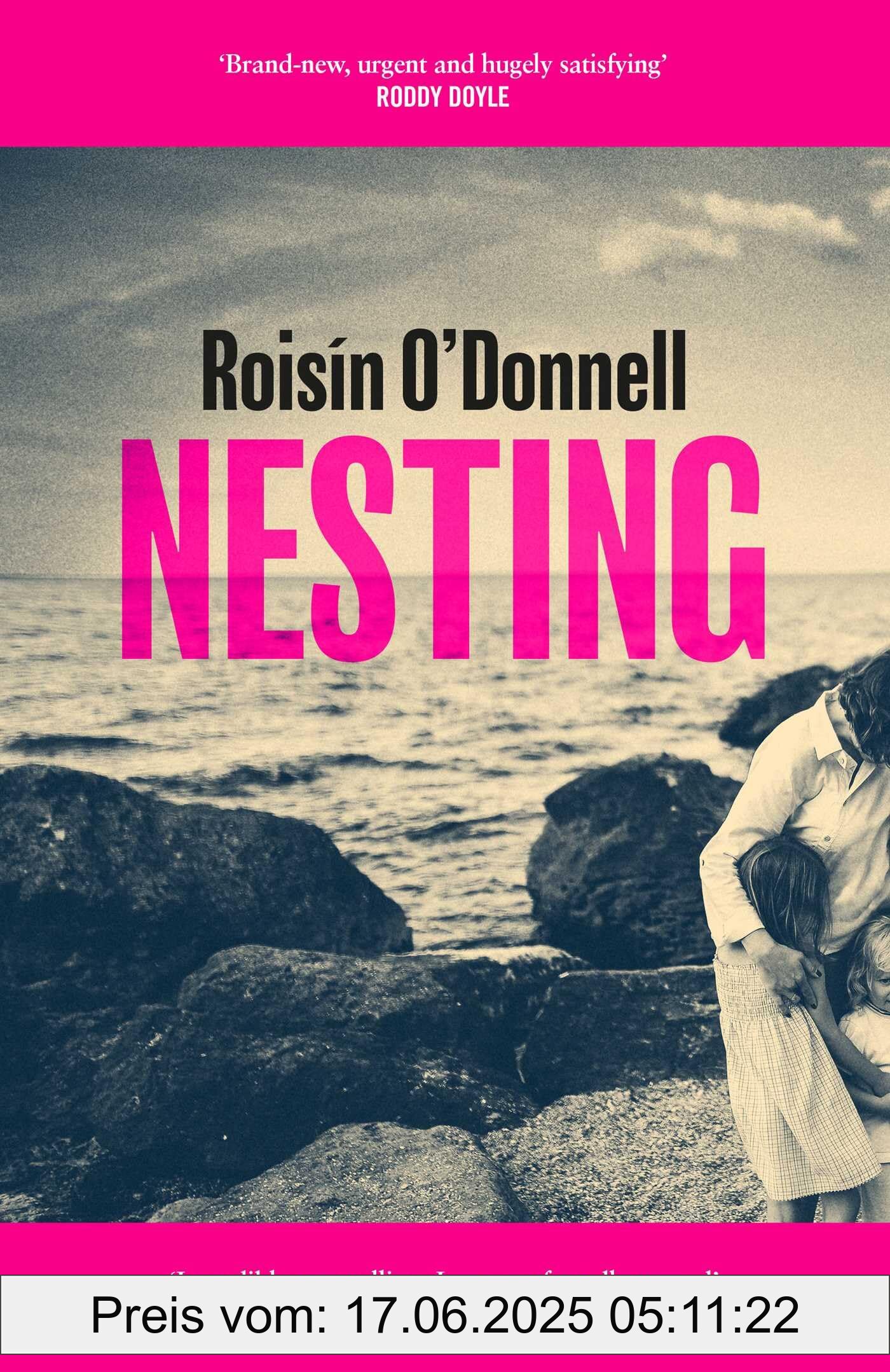 Binding : paperback, Edition : Export/Airside, Label : Nesting : The tender, soaring debut you won't be able to forget, medium : paperback, numberOfPages : 384, publicationDate : 2025-01-16, releaseDate : 2025-01-16, languages : english, ISBN : 1398528536