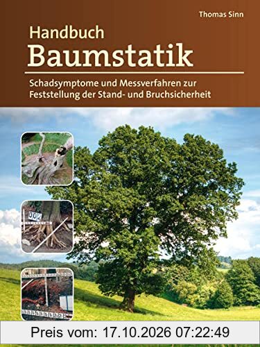 Handbuch Baumstatik: Schadsymptome und Messverfahren zur Feststellung der Stand- und Bruchsicherheit