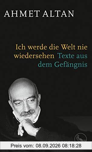 Ich werde die Welt nie wiedersehen: Texte aus dem Gefängnis