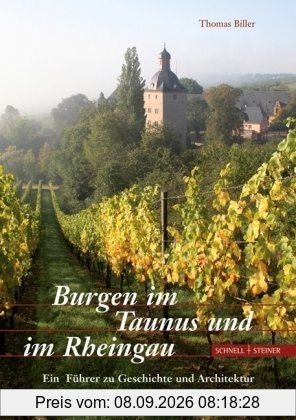 Burgen im Taunus und im Rheingau: Ein Führer zu Geschichte und Architektur