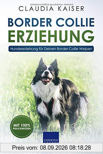 Border Collie Erziehung: Hundeerziehung für Deinen Border Collie Welpen (Border Collie Band, Band 1)