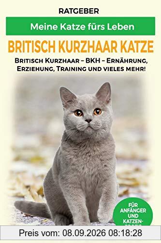 Britisch Kurzhaar Katze: Britisch Kurzhaar Katze Ratgeber - BKH Katze - Erziehung, Ernährung und Pflege (Katzenrassen)