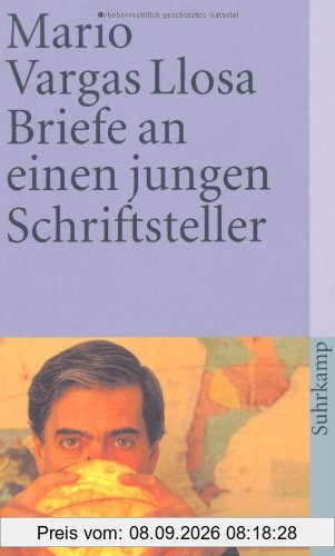 Briefe an einen jungen Schriftsteller: Wie man Romane schreibt (suhrkamp taschenbuch)
