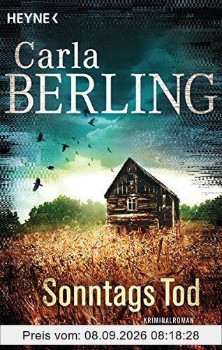 Sonntags Tod: Kriminalroman