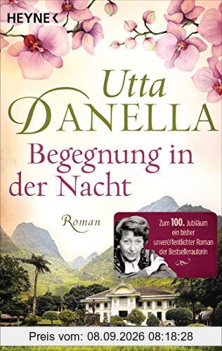 Begegnung in der Nacht: Roman