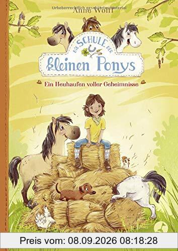 Die Schule der kleinen Ponys - Ein Heuhaufen voller Geheimnisse: Band 1