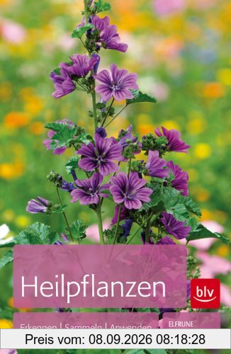 Heilpflanzen: Erkennen | Sammeln | Anwenden
