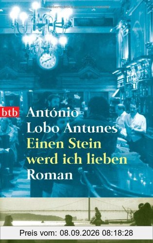 Einen Stein werd ich lieben: Roman