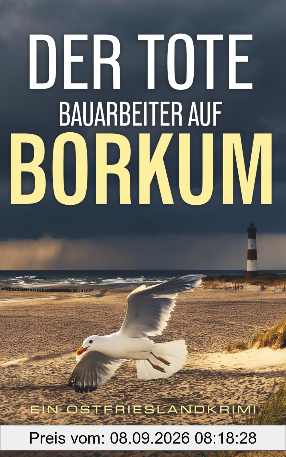Der tote Bauarbeiter auf Borkum: Ein Ostfrieslandkrimi (Stein und Martens ermitteln in Ostfriesland, Band 9)