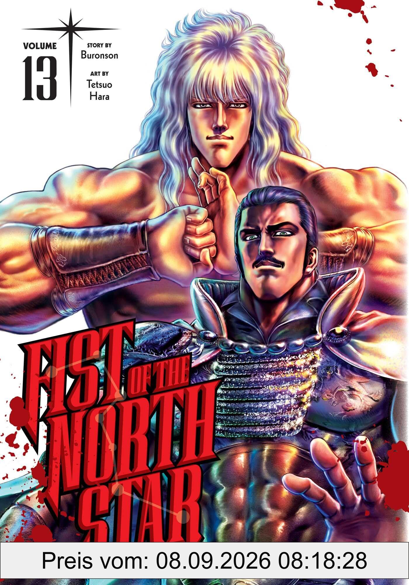 Fist of the North Star, Vol. 13 (FIST OF THE NORTH STAR HC, Band 13)