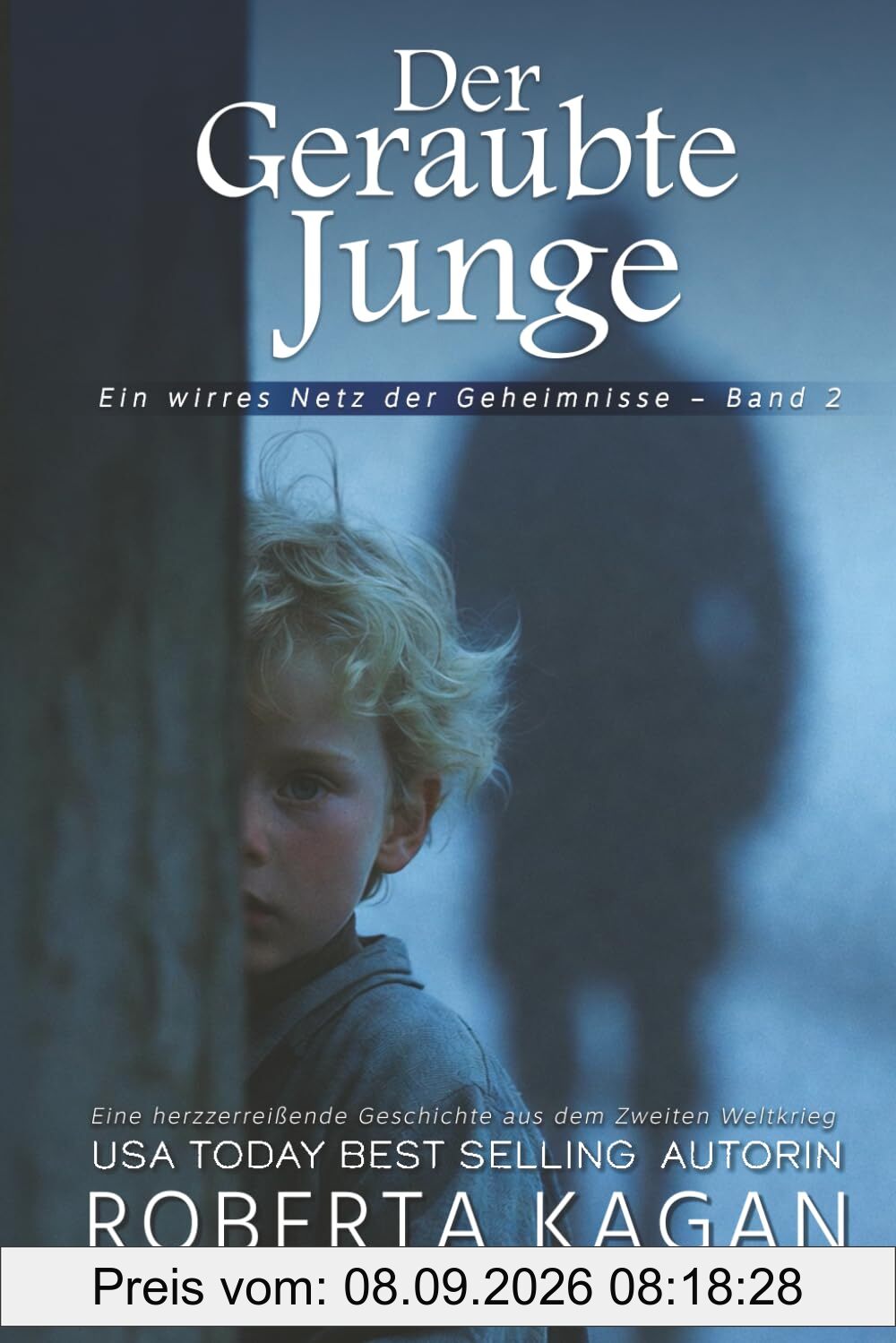 Der geraubte Junge (Ein wirres Netz der Geheimnisse, Band 2)