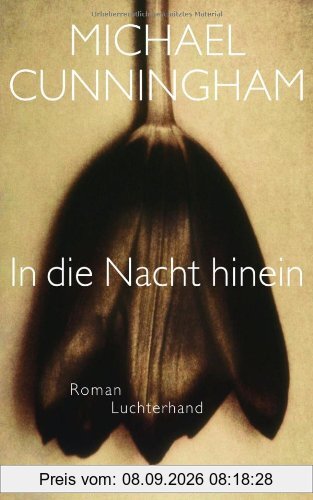 In die Nacht hinein: Roman