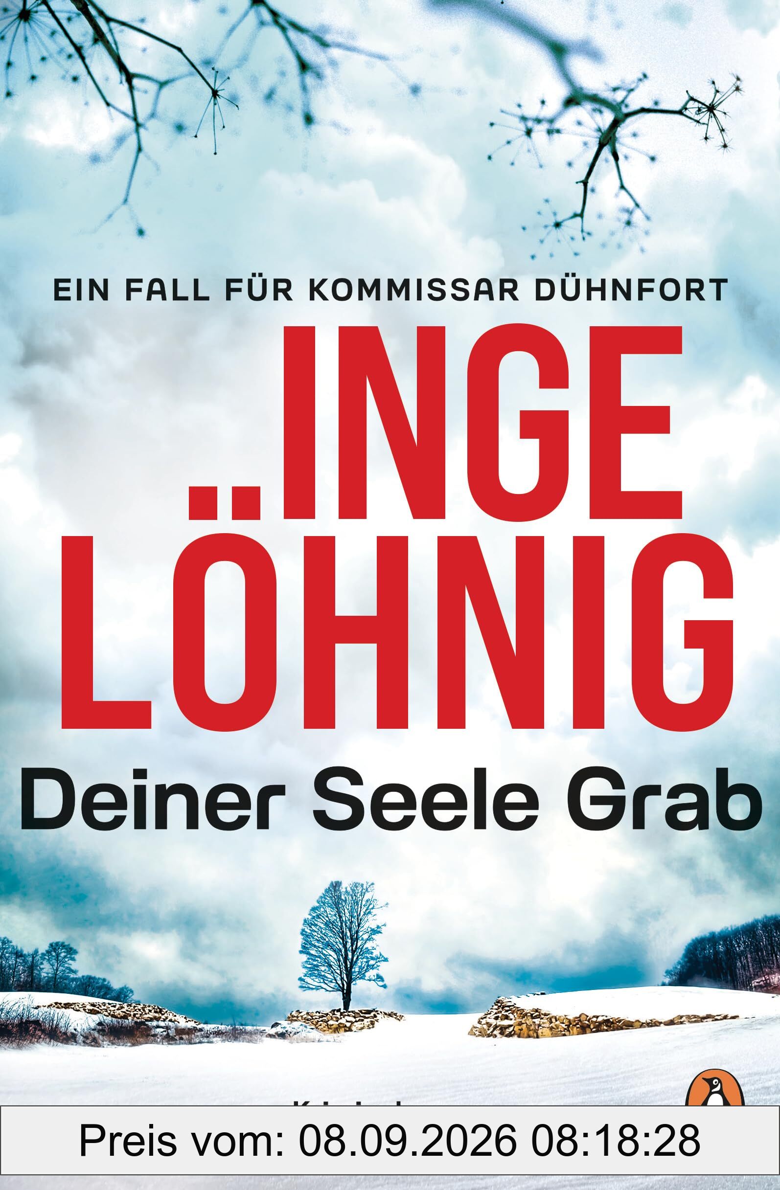 Deiner Seele Grab (Dühnfort 6): Kriminalroman. Ein Fall für Kommissar Dühnfort (Ein Kommissar-Dühnfort-Krimi, Band 6)