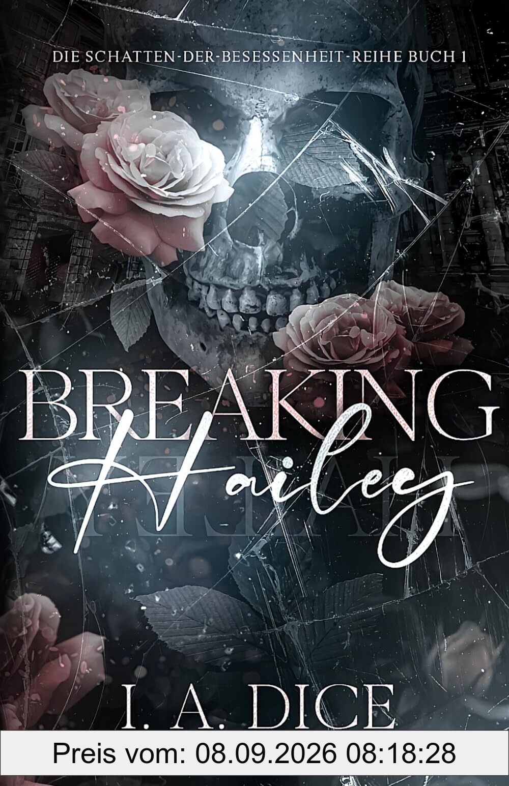 Breaking Hailey: Die Schatten-der-Besessenheit-Reihe, Buch 1