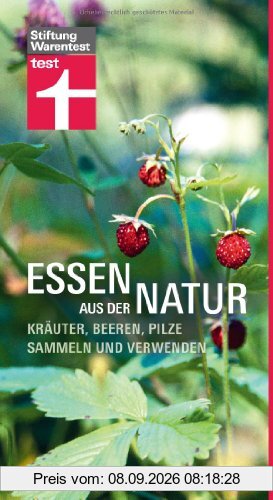 Essen aus der Natur: Kräuter, Beeren, Pilze sammeln und verwenden