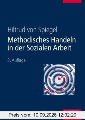 Methodisches Handeln in der Sozialen Arbeit: Grundlagen und Arbeitshilfen für die Praxis. Mit 25 Arbeitshilfen (Uni-Taschenbücher L)