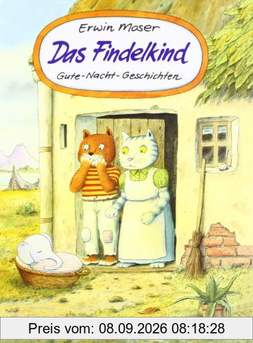Das Findelkind: Gute-Nacht-Geschichten