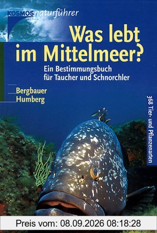 Was lebt im Mittelmeer?