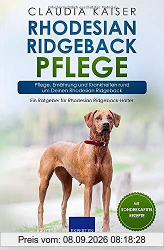 Rhodesian Ridgeback Pflege: Pflege, Ernährung und Krankheiten rund um Deinen Rhodesian Ridgeback