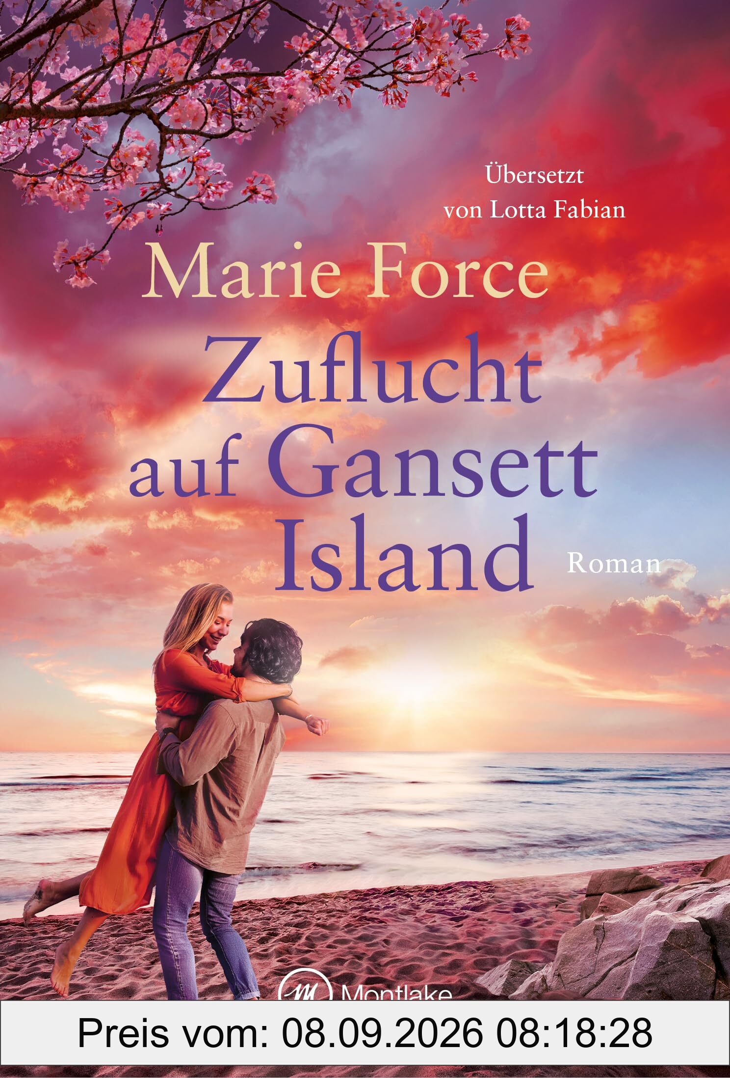Zuflucht auf Gansett Island (Die McCarthys, Band 27)
