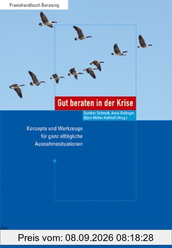 Gut beraten in der Krise: Konzepte und Werkzeuge für ganz alltägliche Ausnahmesituationen