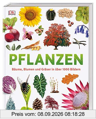Pflanzen: Bäume, Blumen und Gräser in über 1000 Bildern
