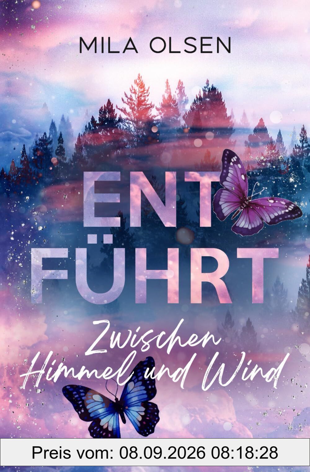 Entführt - Zwischen Himmel und Wind (Entführt: Under Northern Skies, Band 3)